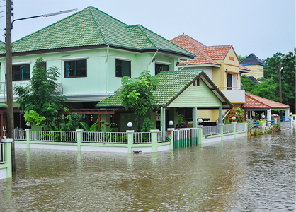 การดูแลบ้านหลังน้ำท่วม